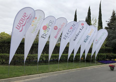 The entrance to the Ball Horticultural location in Santa Paula.